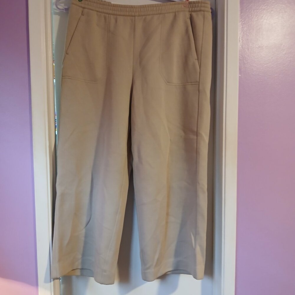 Banana Republic Factory Women's Wide Leg Ankle Pant Tan NWT